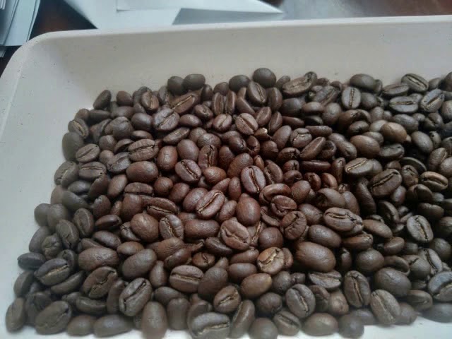 café en grano 1 kg