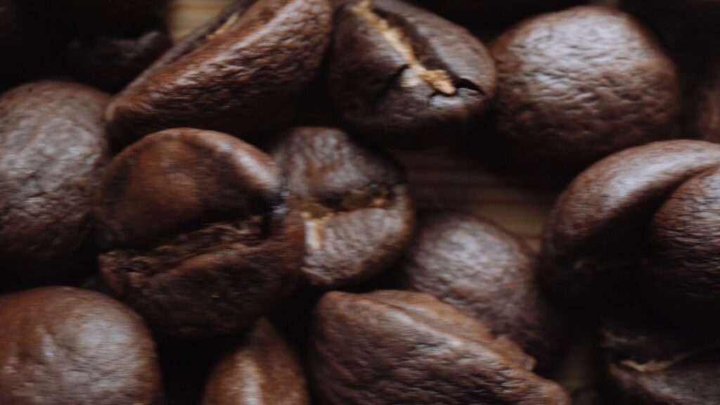 cafe en grano 100 robusta
