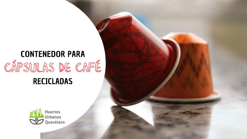 capsulas de cafe a que contenedor van
