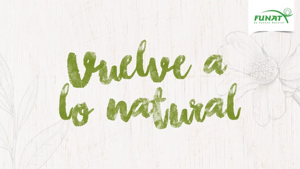 té matcha