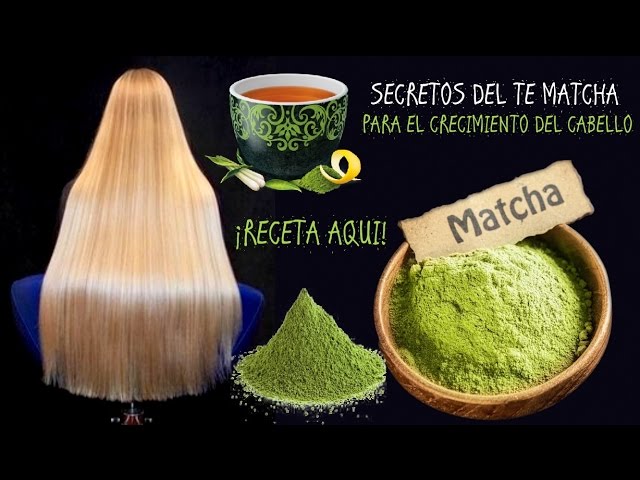 té matcha para el pelo