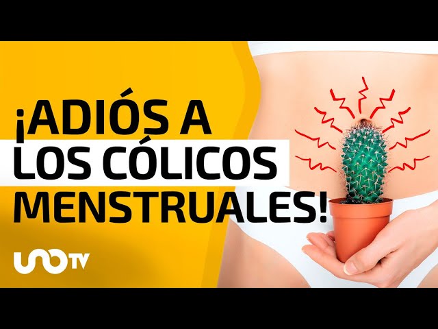 té matcha y menstruación